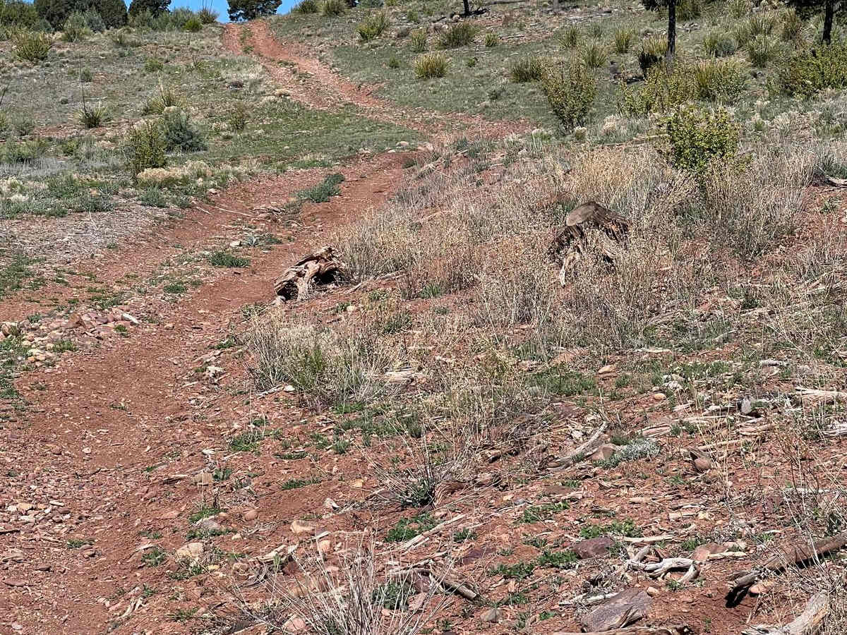 General Crook Trail photo 3