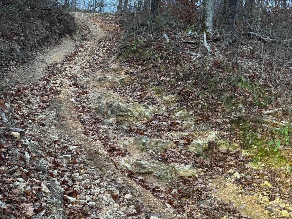 Copperhead 295 photo 4