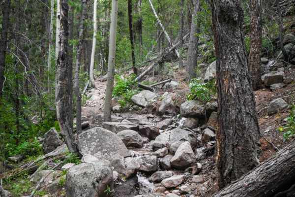 Agate Creek