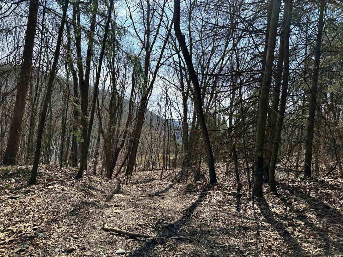 Ashland 105 trail photo