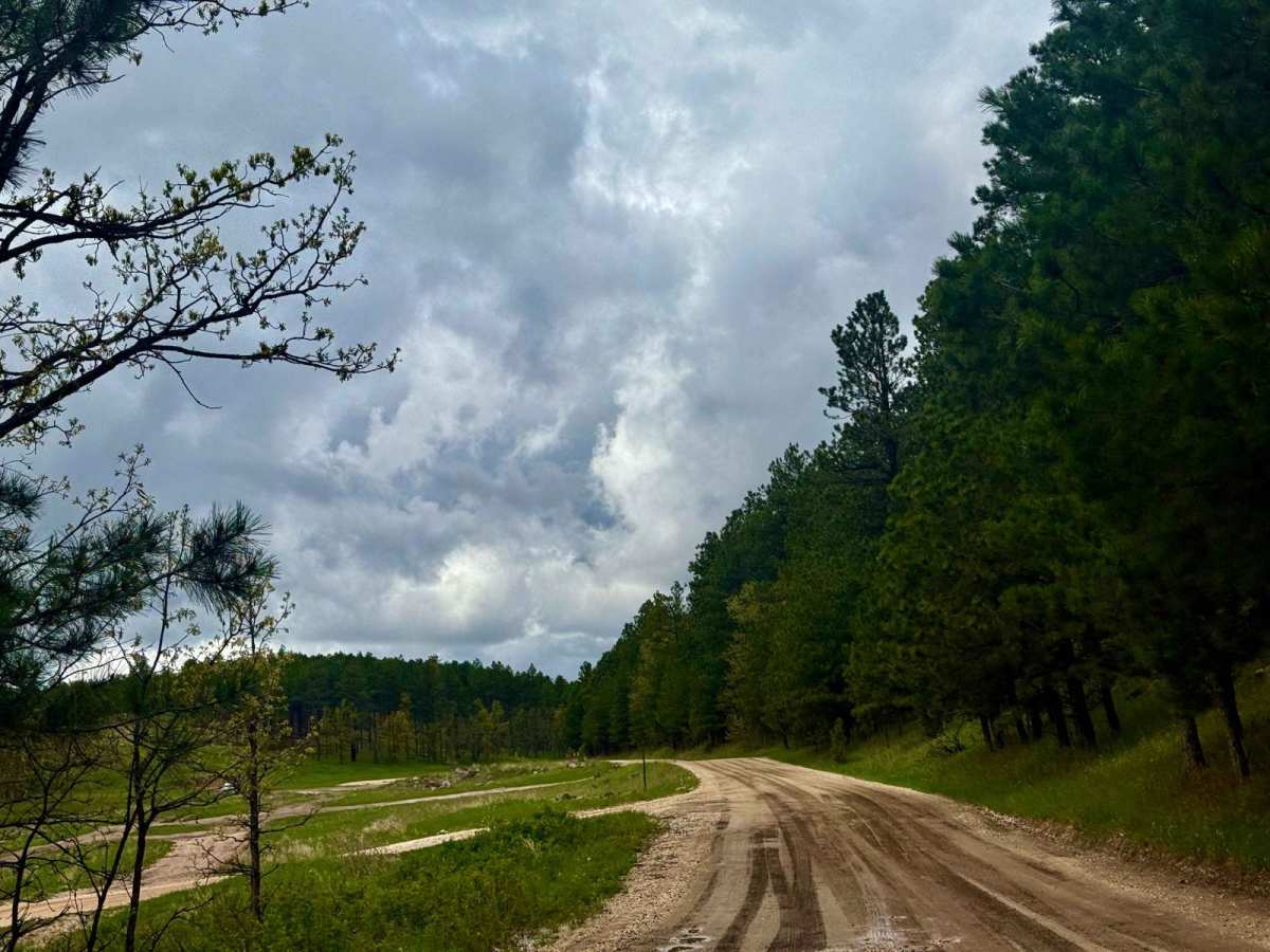 Beretta Road - FS 366.3 photo 2