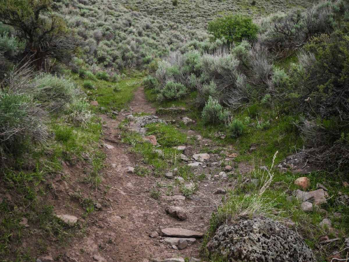 Sly Gulch photo 3