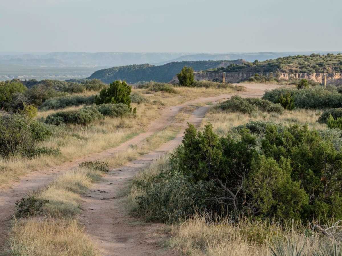 Lookout Trail photo 5