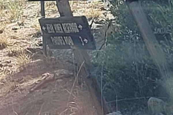 Tanglefoot Canyon