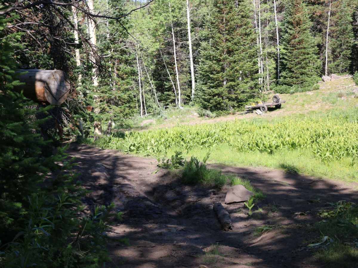 Heart Lake - FS 70097 photo 6
