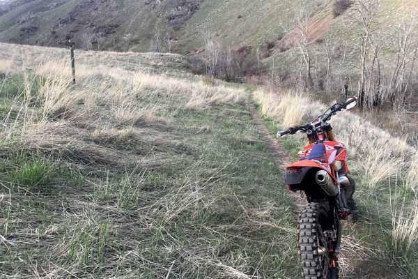 Wahlstrom Hollow Trail