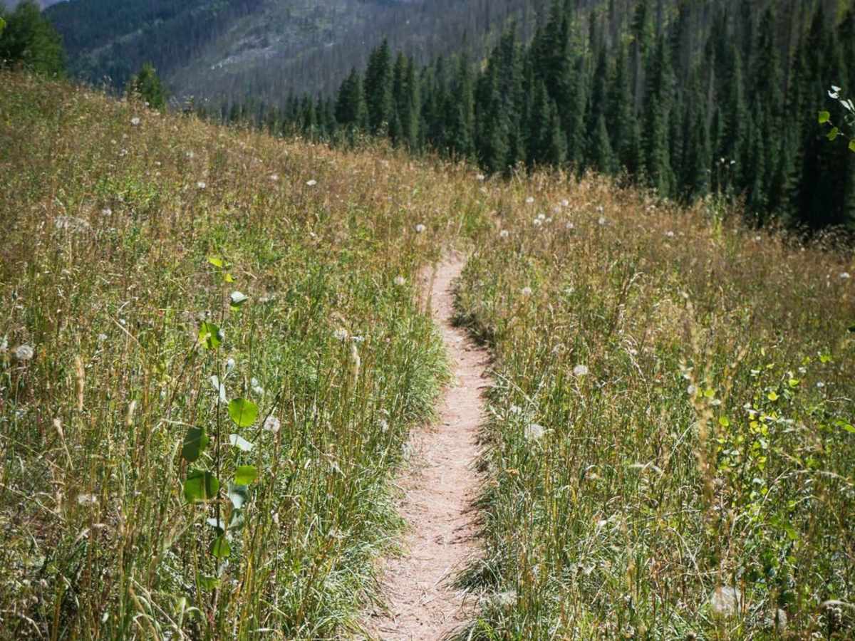 Bear Creek Trail photo 2