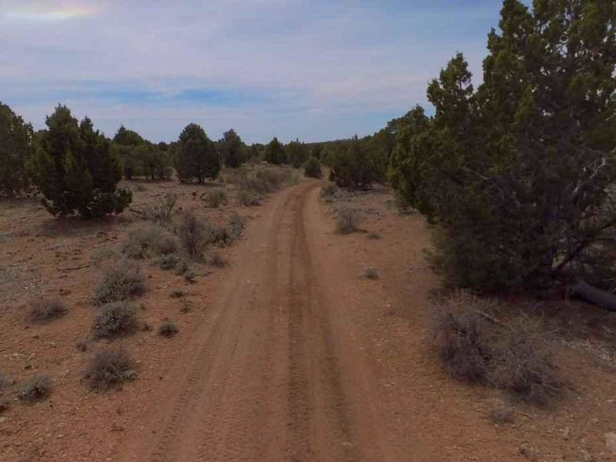 Dixie National Forest-FR30875 photo 3