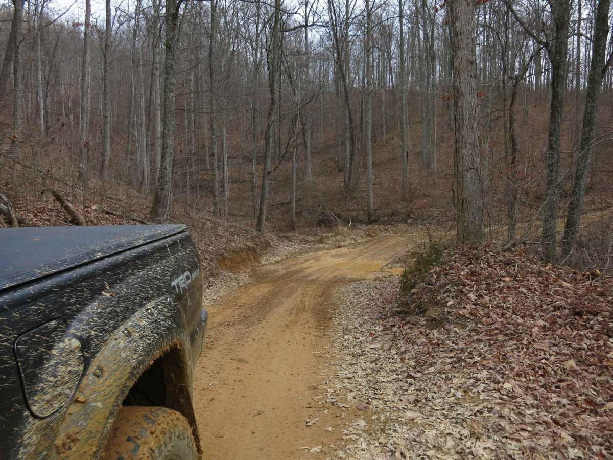 Trail 13 - Lee Asbury Road photo 6