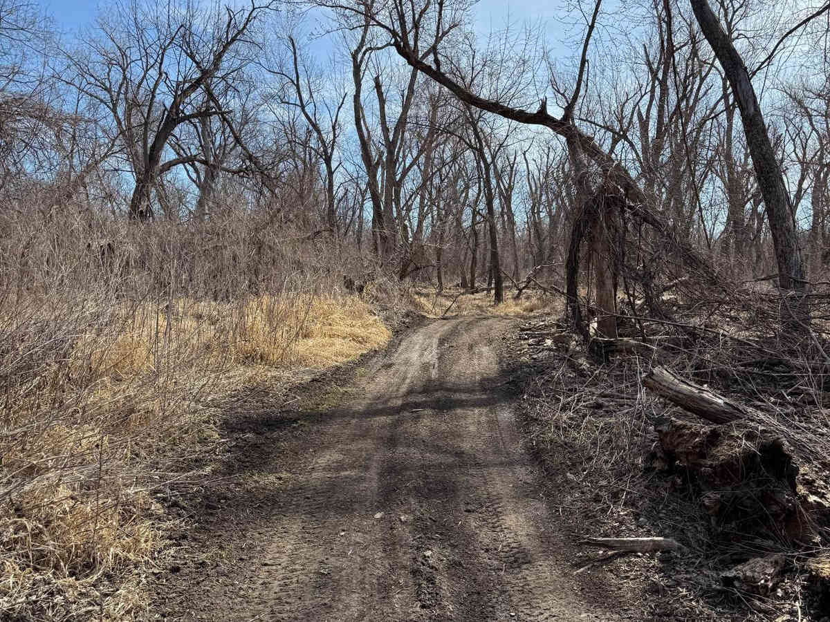 A2 trail photo