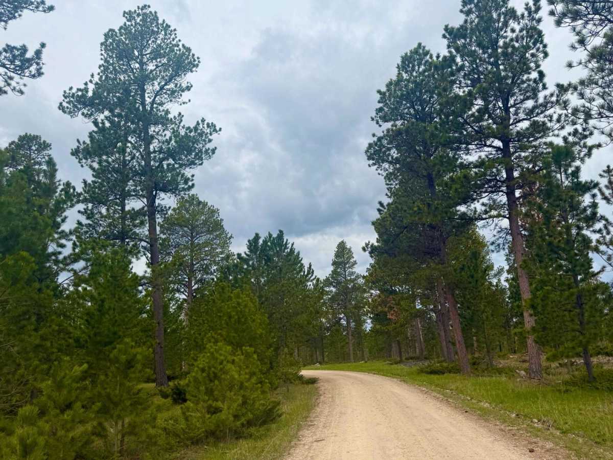 South Castle Creek trail photo