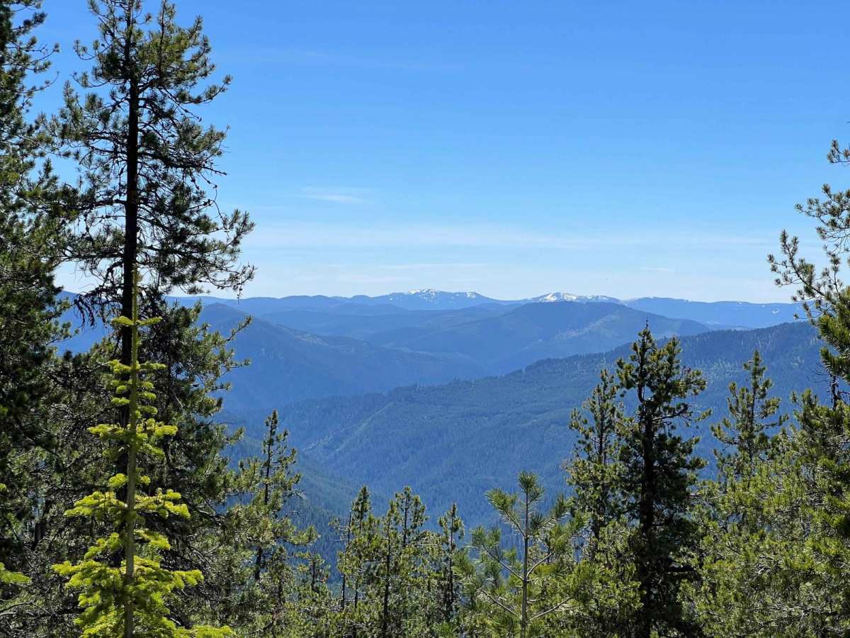 Bird Creek Divide photo 5
