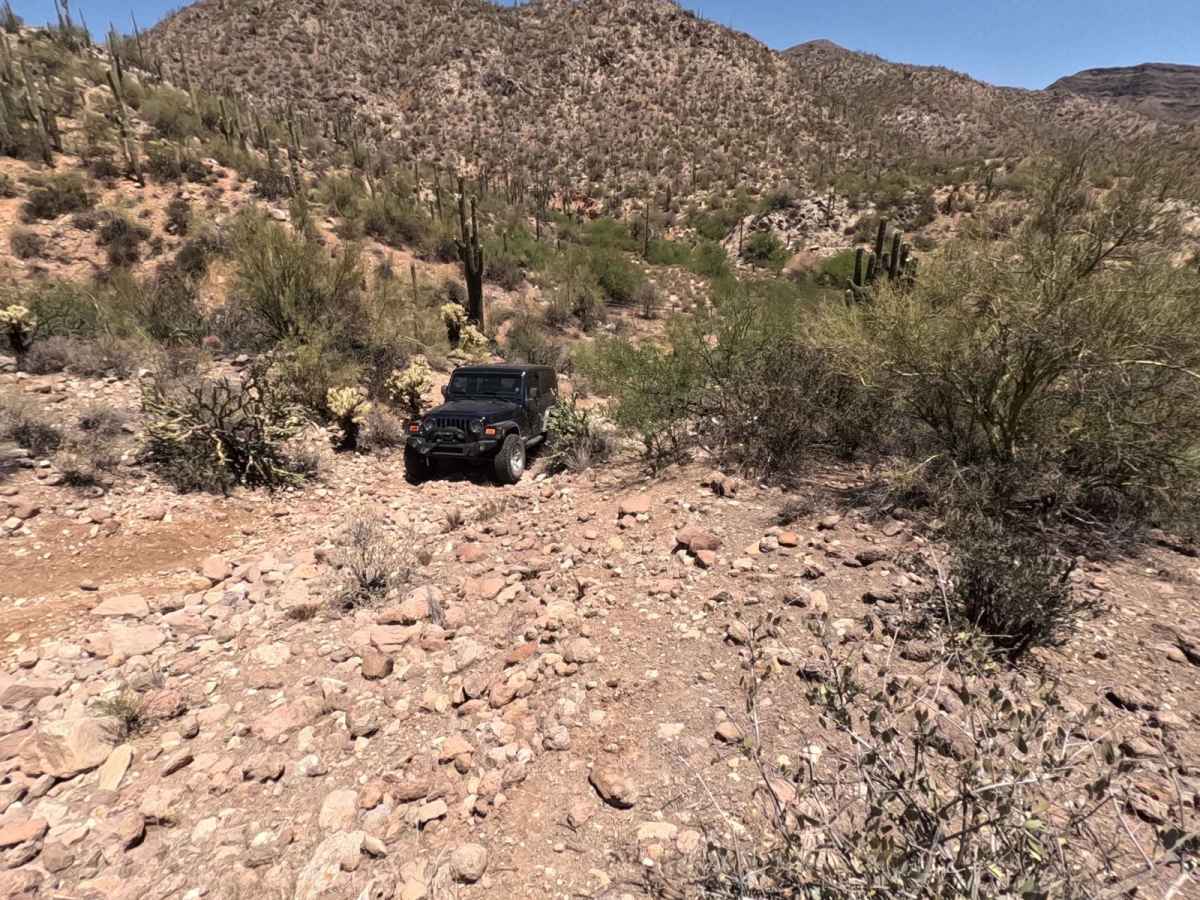 Locker Ridge trail photo