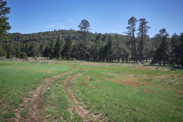 Bill Williams / Prescott Forest Traverse