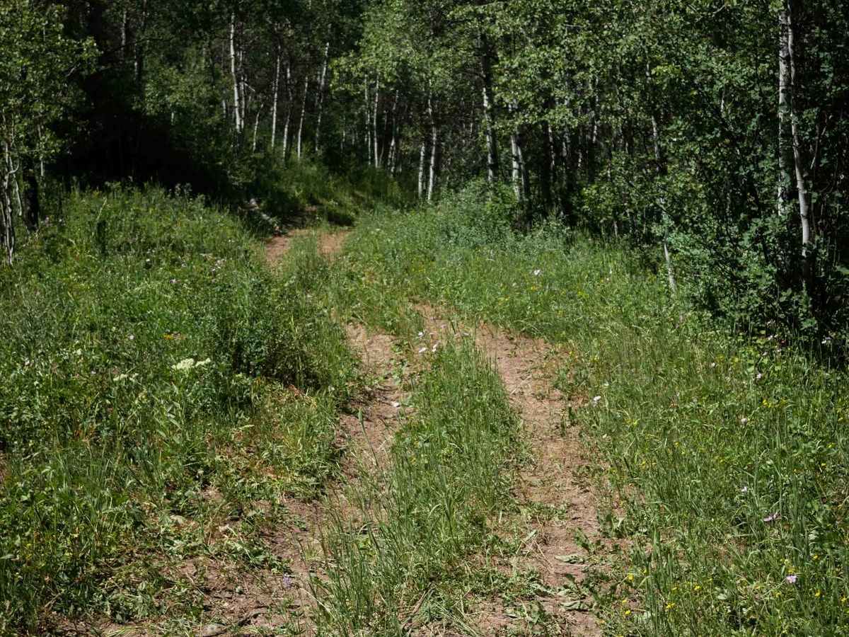 Wilde Canyon #5218  photo 6