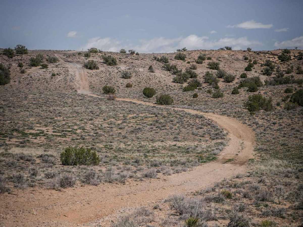 BLM Route 80A photo 5