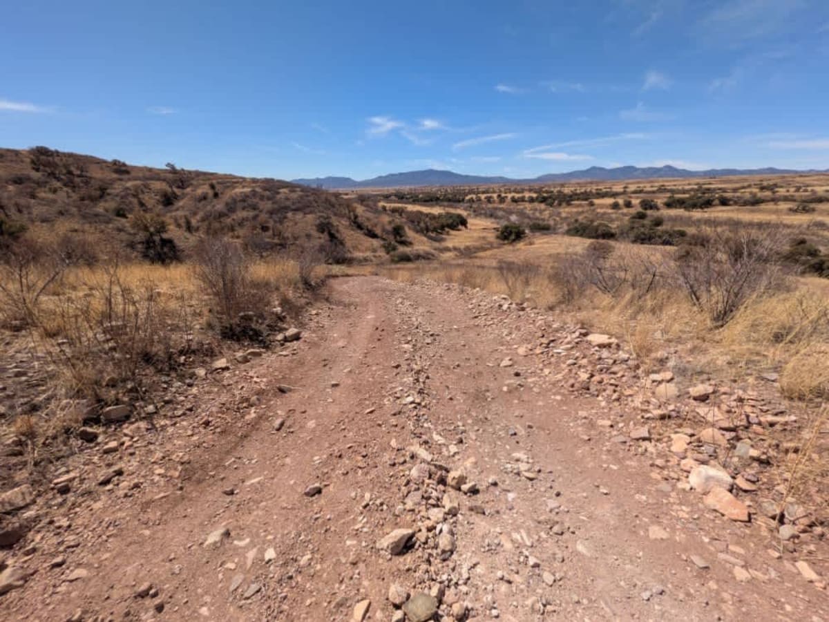 Chuparosa Road photo 4