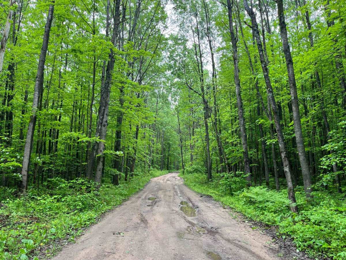Cadillac Pathway #2 photo 3