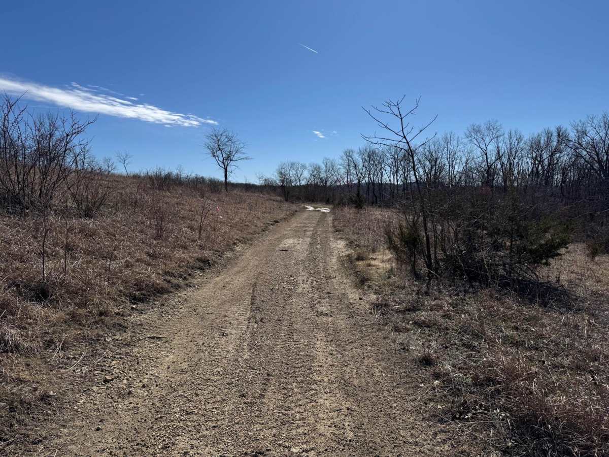 Brushy Ridge Spur D - FRS 606D photo 5