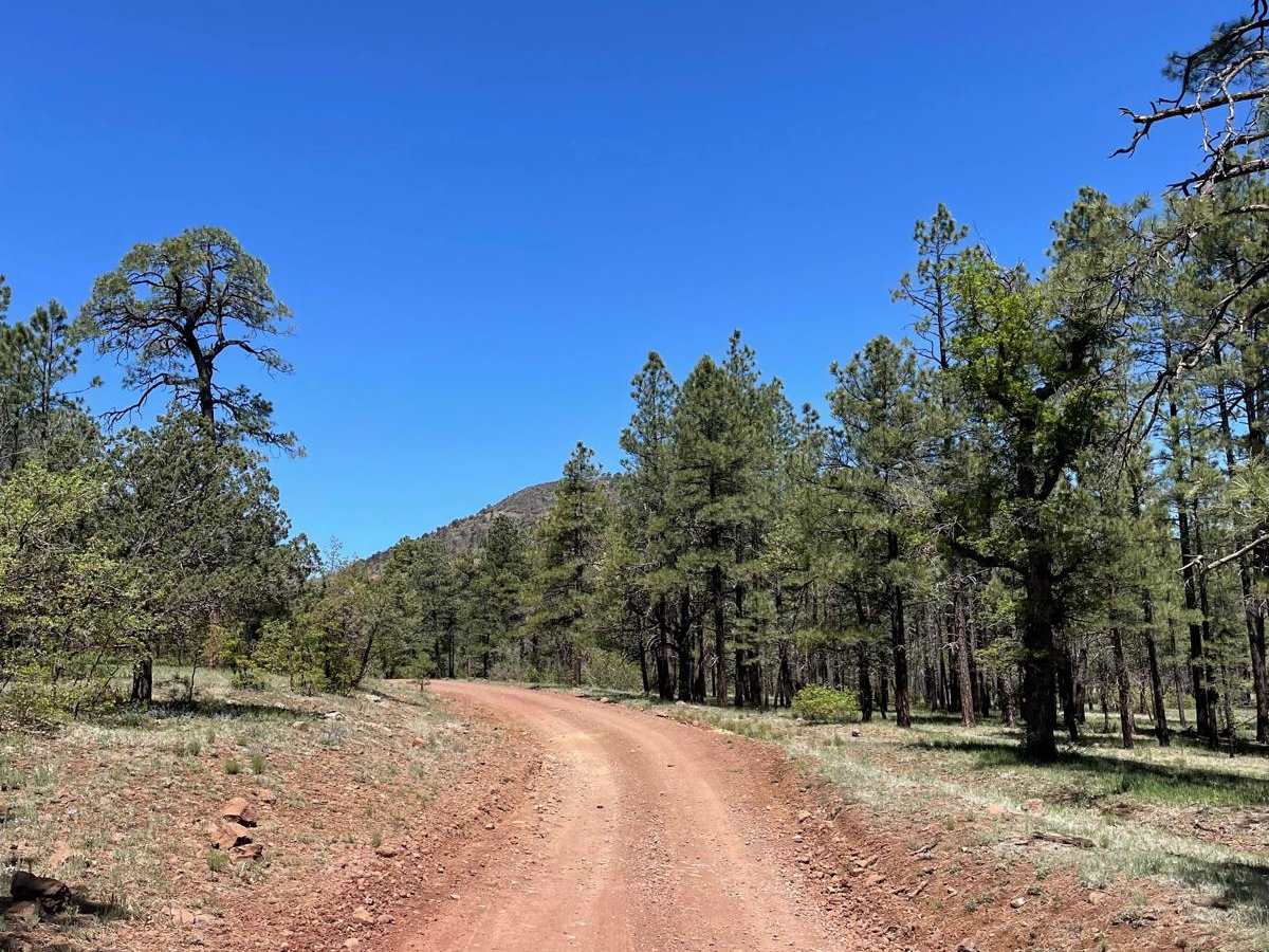Apache Maid Climb photo 2