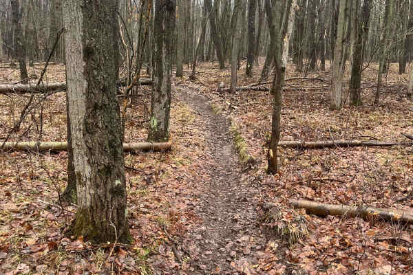 Horseshoe Motorcycle Trail Part 5