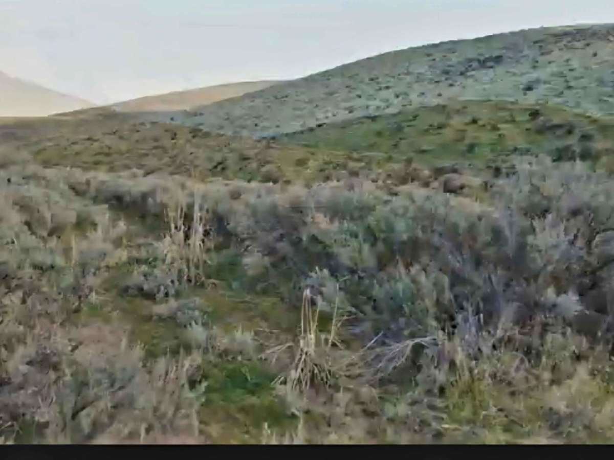 Little Brush Creek Road photo 2