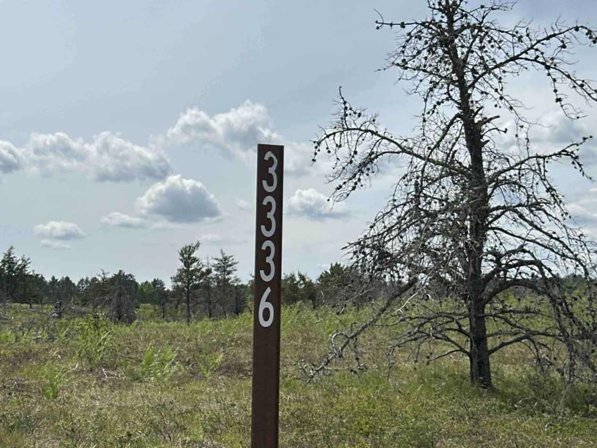 FS 3336 trail photo
