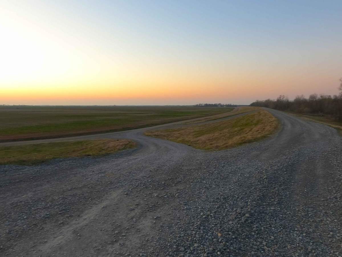 Wolf Bayou Road photo 2