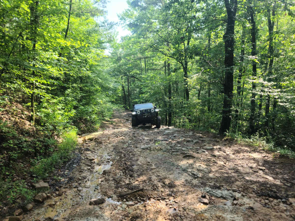 Highland Route - 216 photo 2