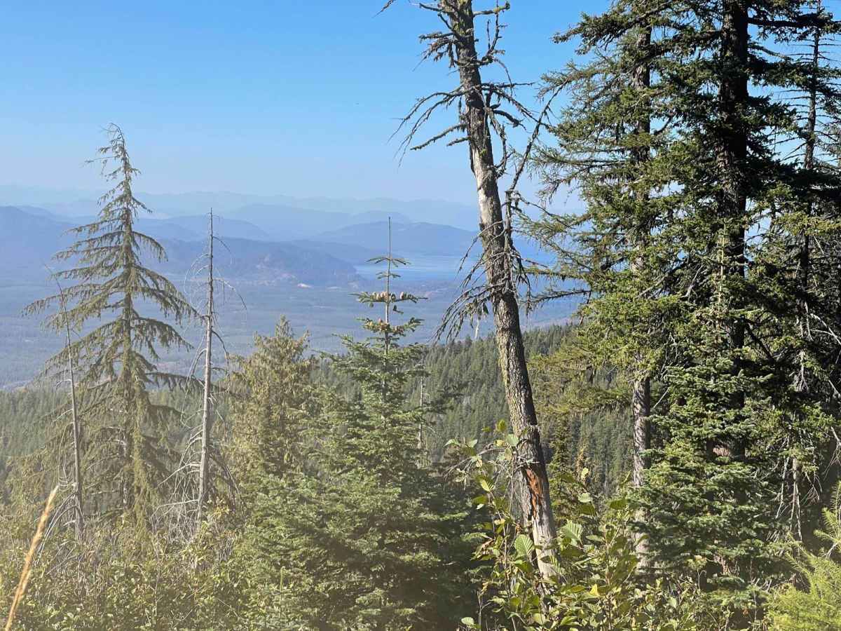 Bald Mountain photo 5