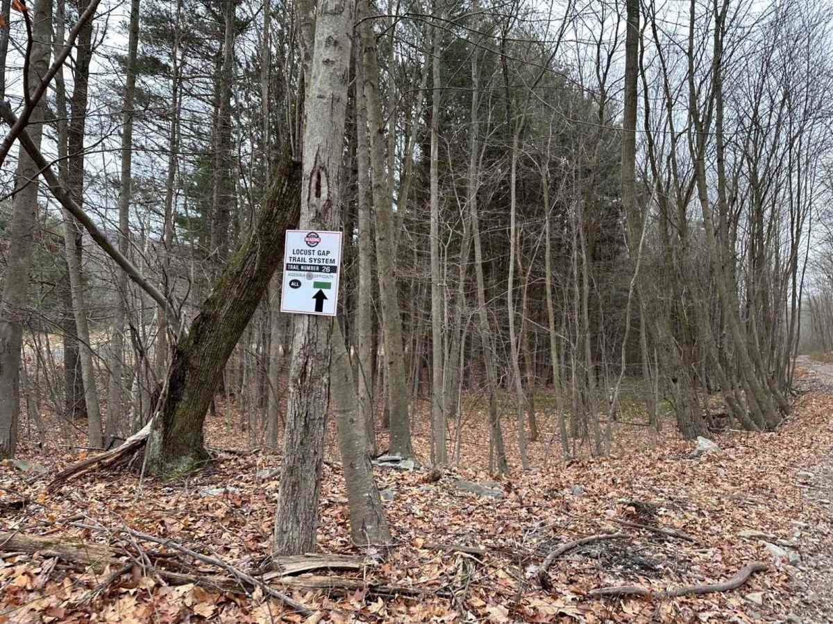 Locust Gap 26 photo 6