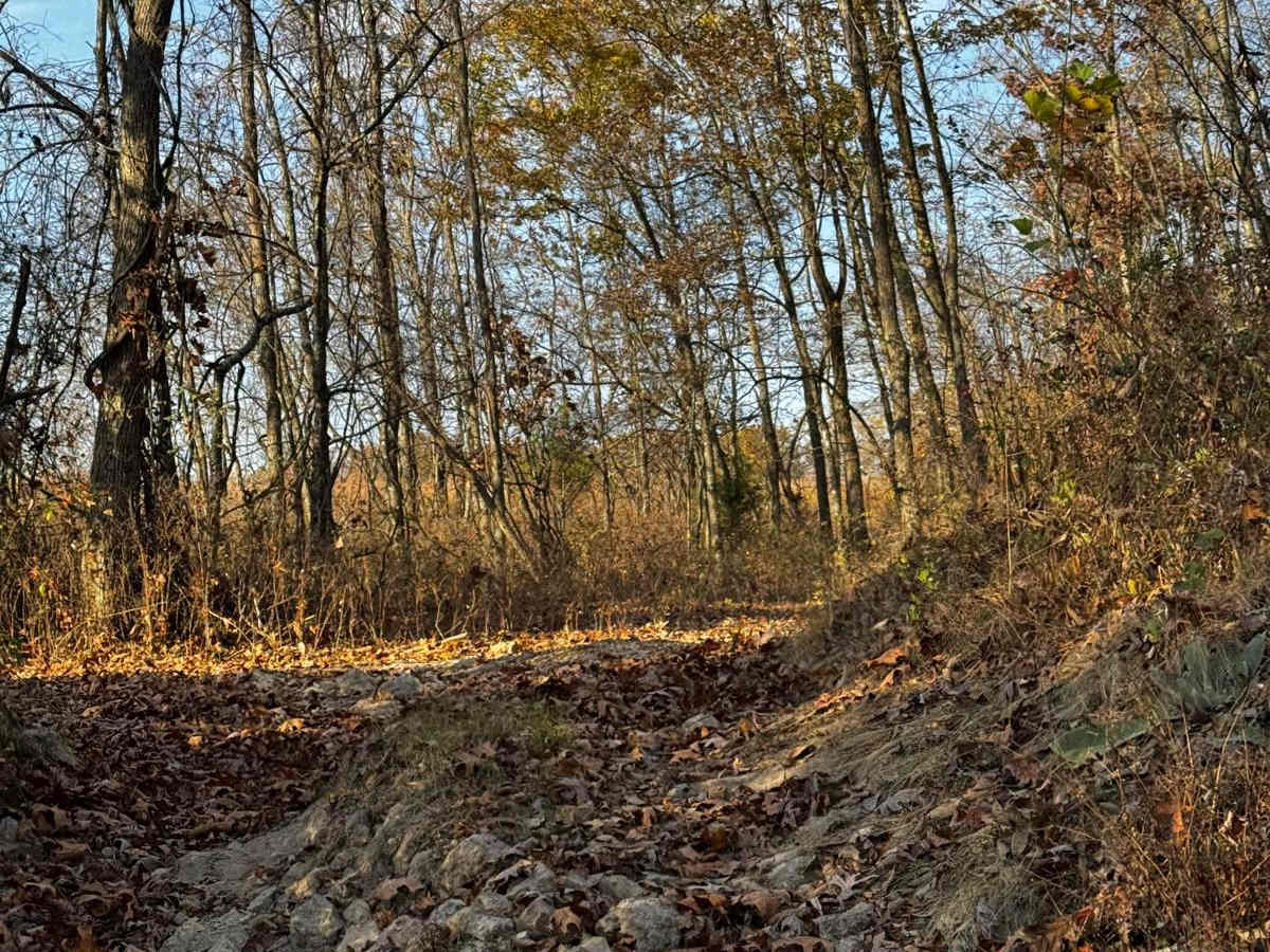 Kanes Candy Lane trail photo