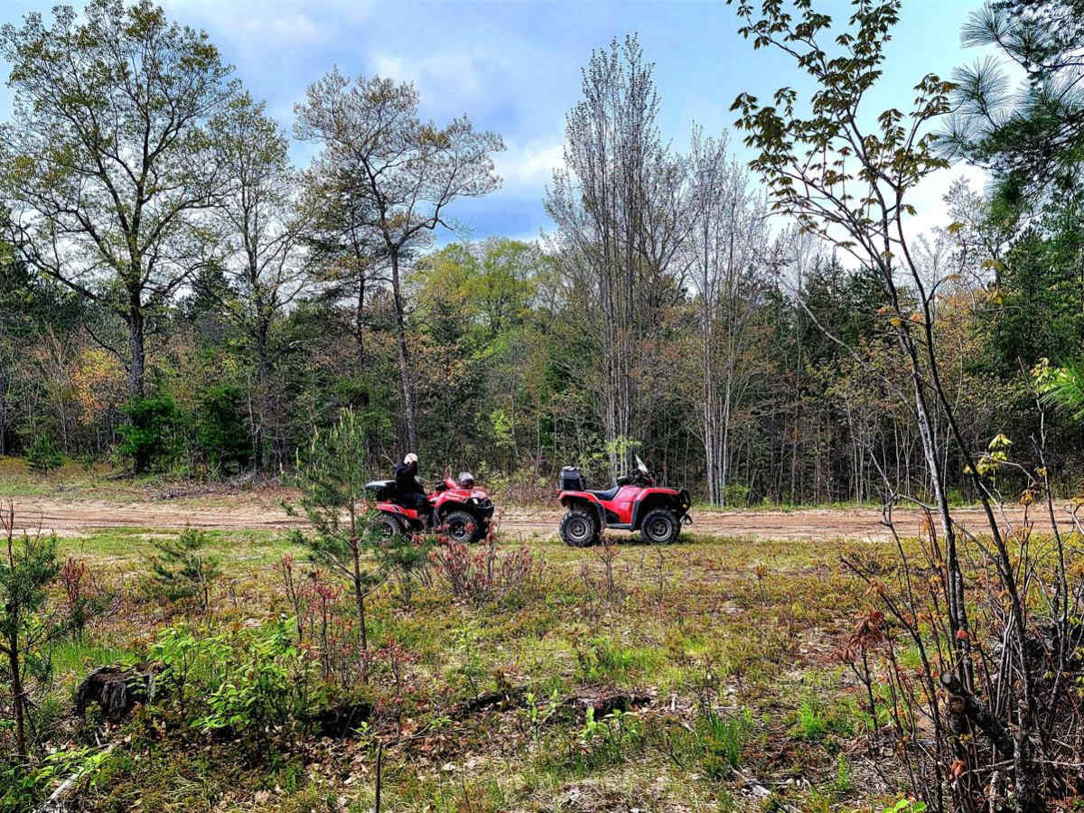 Afton Area Trail photo 3