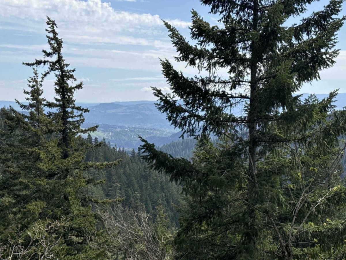 Buck Creek N-1000 to Little Baldy Peak photo 3