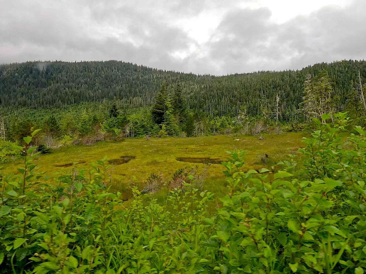 Dry Strait 6241 photo 3