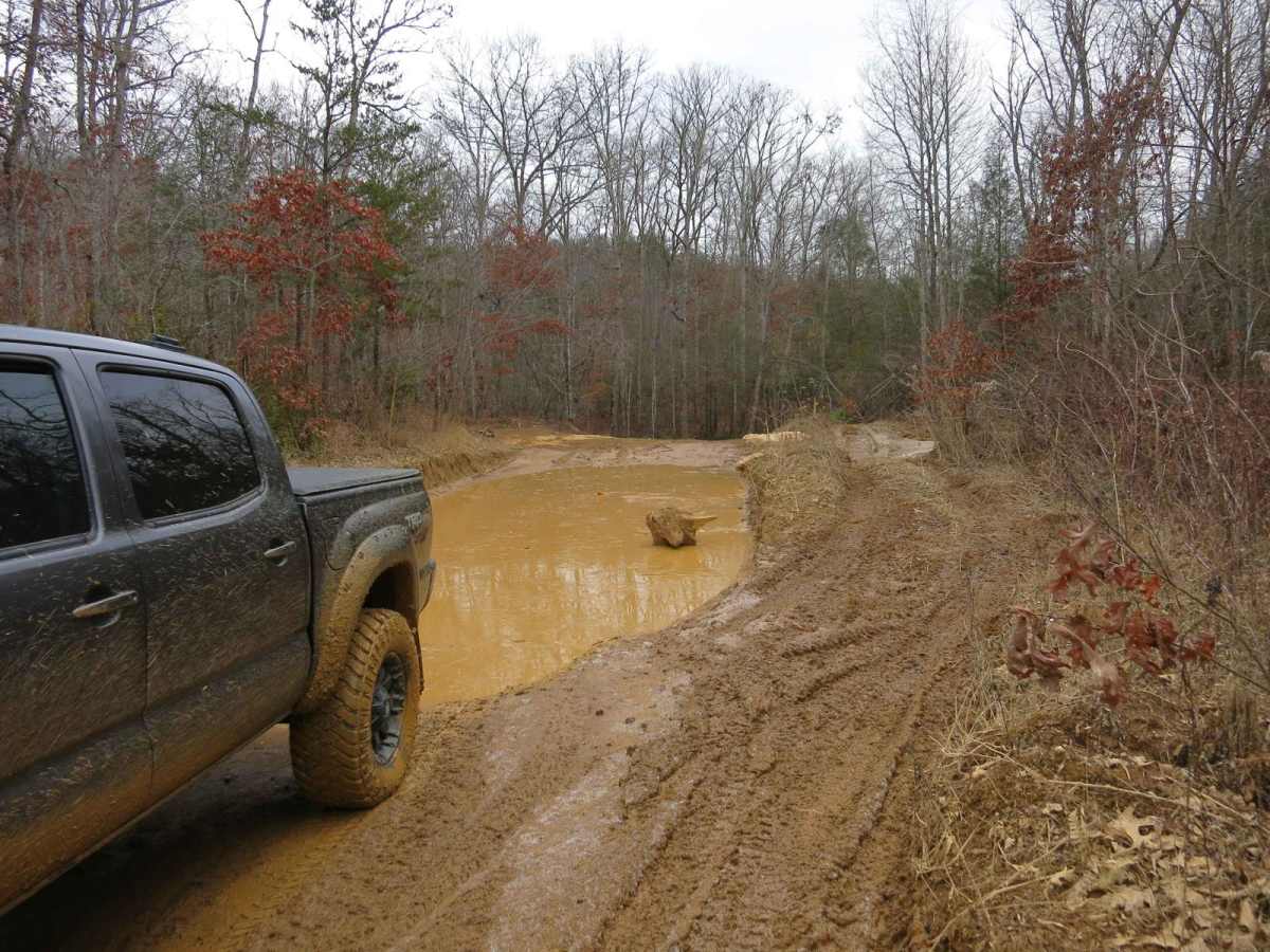Trail 13 - Lee Asbury Road photo 4