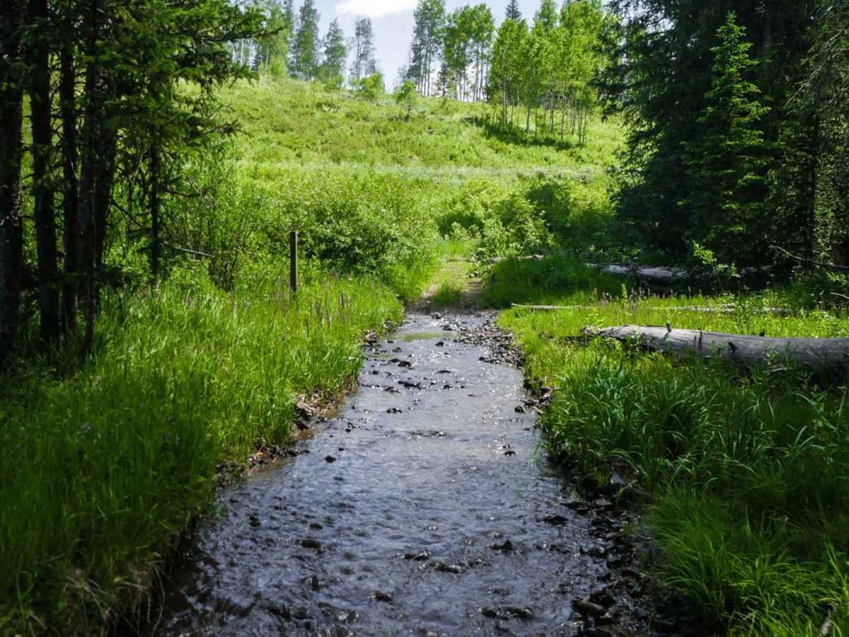 Nipple Peak ATV Trail photo 3