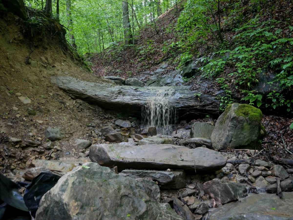 B81 trail photo
