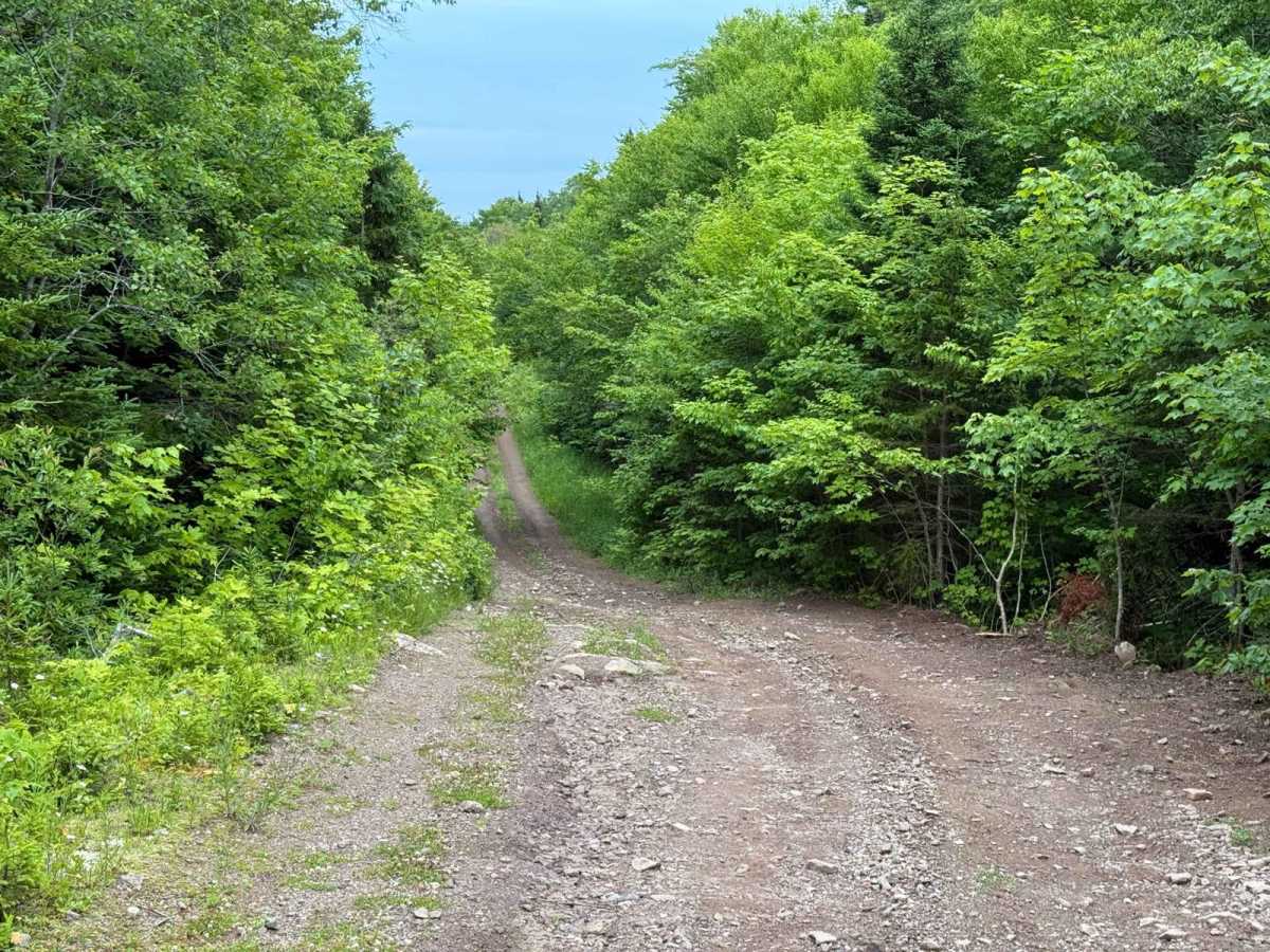 Gillanders Mountain Road East photo 5