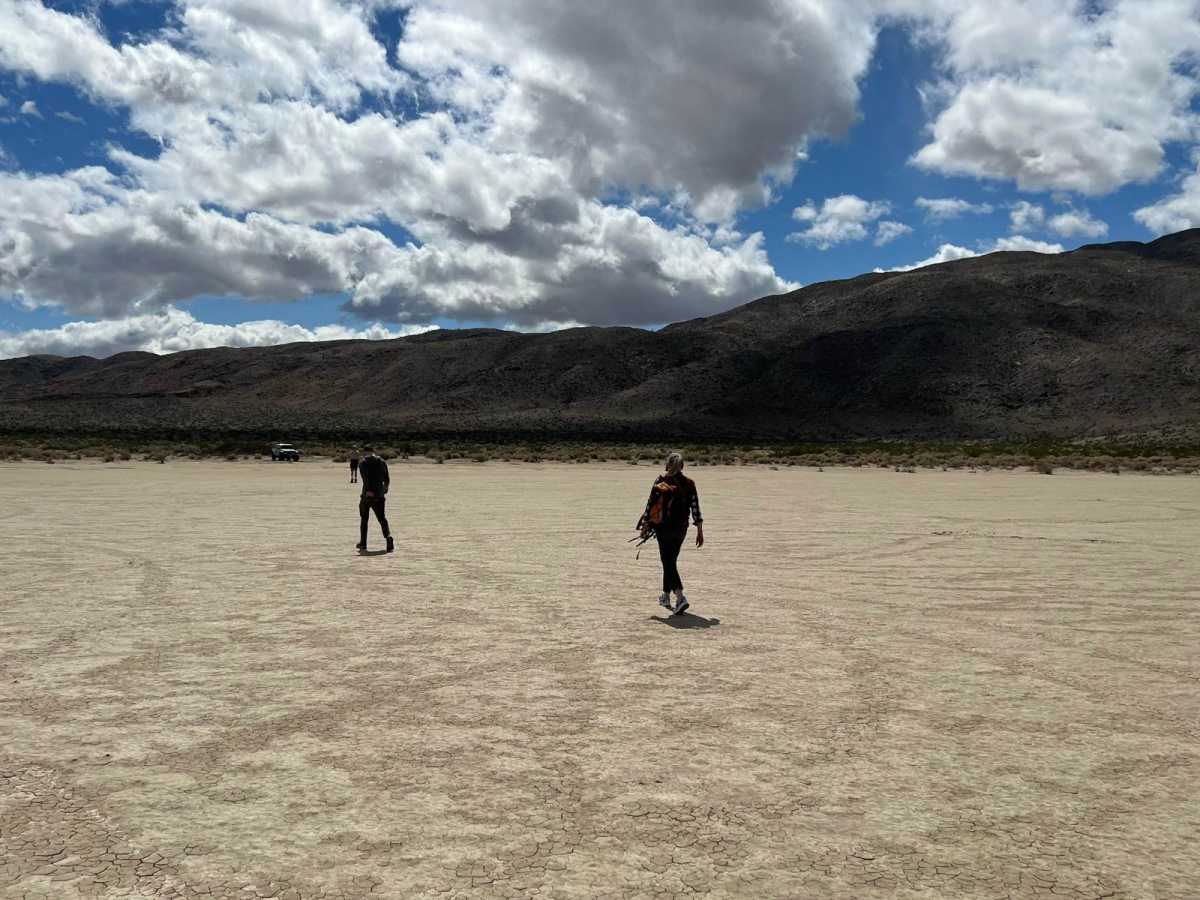 Clark Dry Lake photo 2