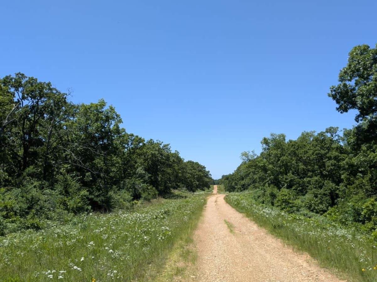 Persimmon Ridge photo 5