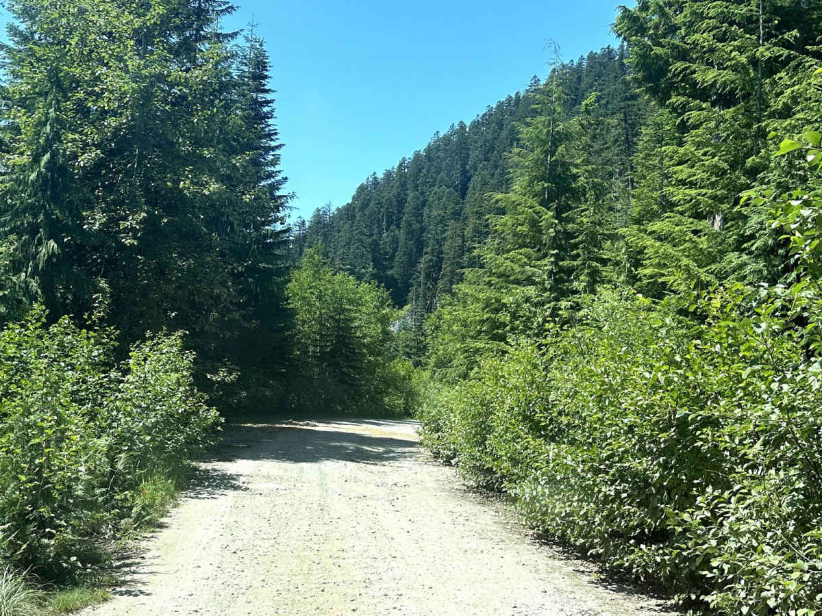 Summit Lake Trailhead photo 3
