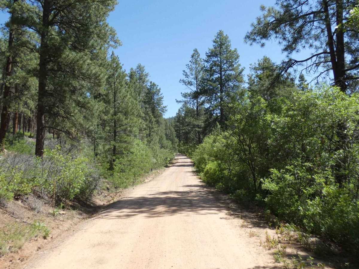 Green Camp Canyon photo 4