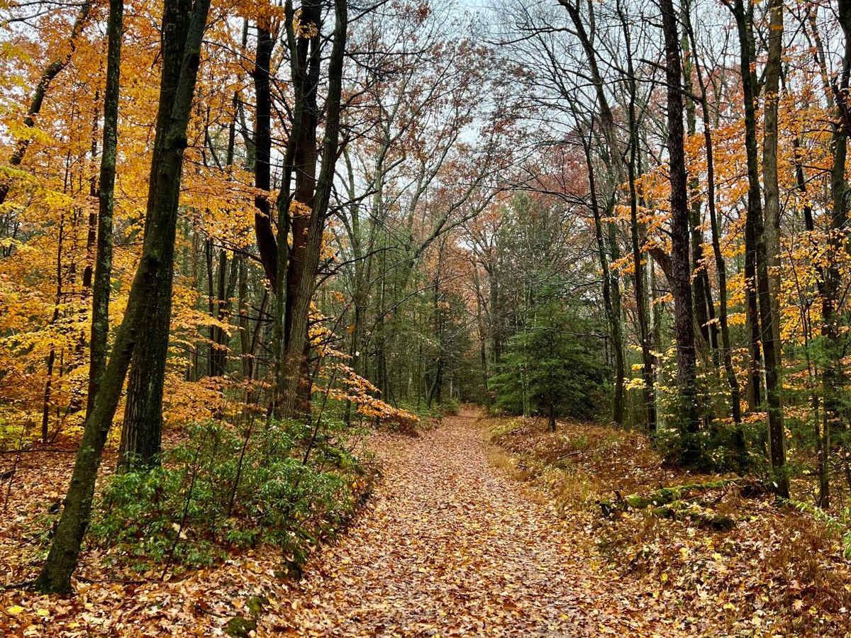 Pepper Run Road photo 5