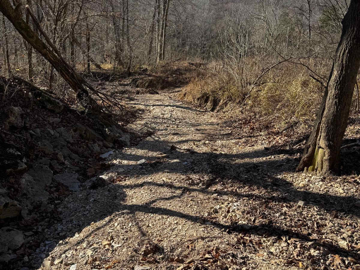 Rock Step Creek 224 photo 3