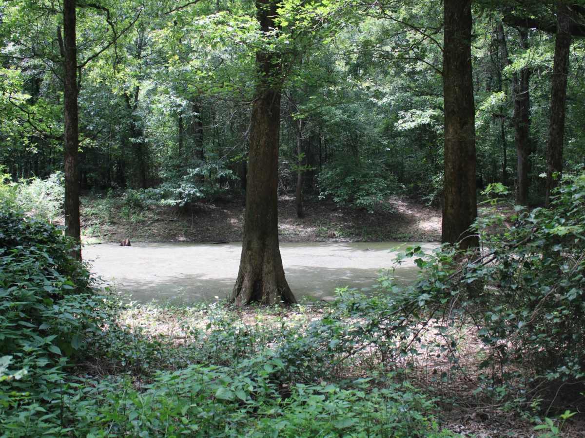Cane Island trail photo