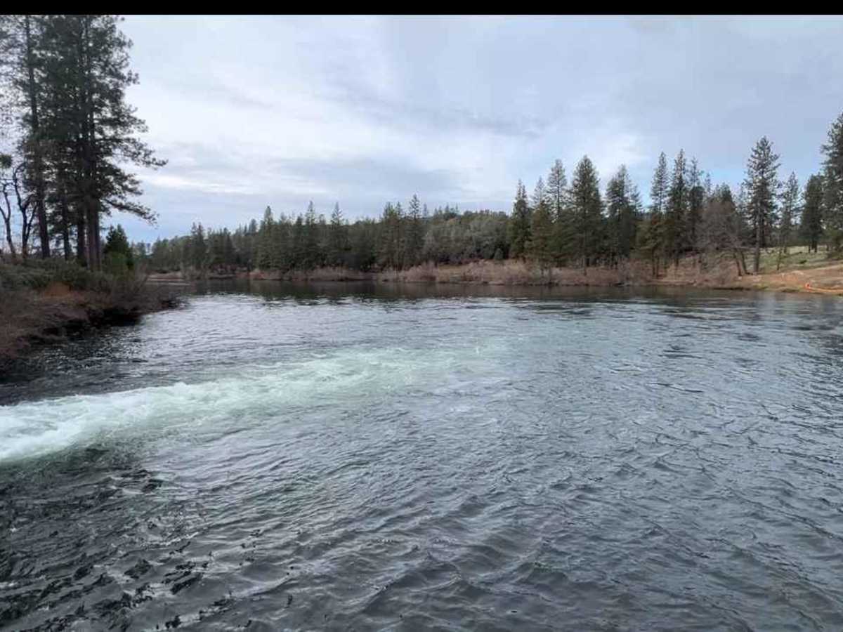 Stanislaus Forebay trail photo