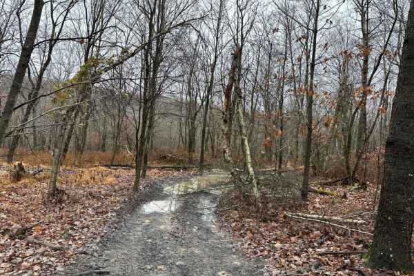 ATV Trail 17