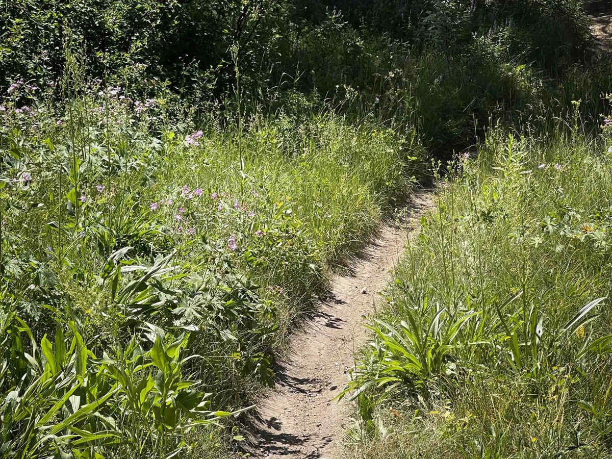 Squaw Creek photo 5