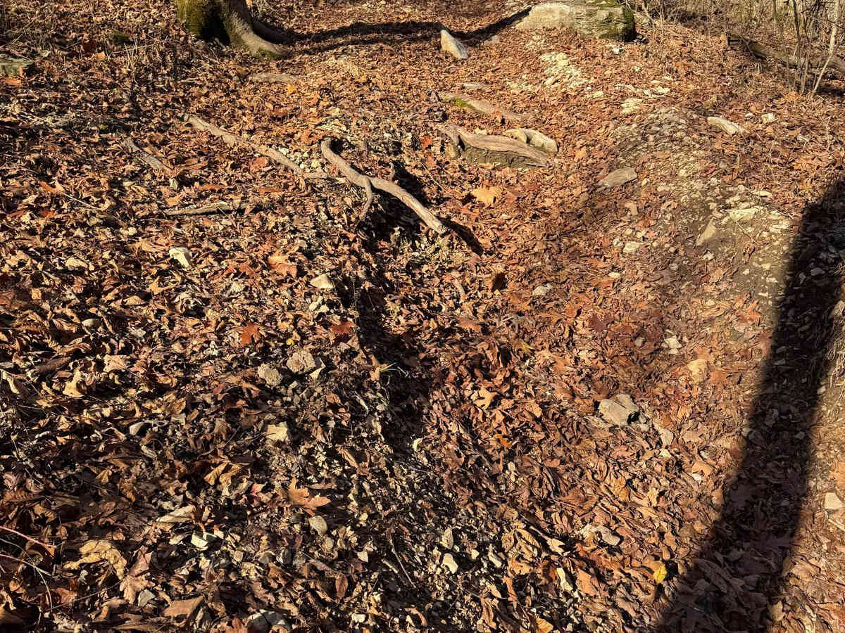 Yellow 167 photo 5